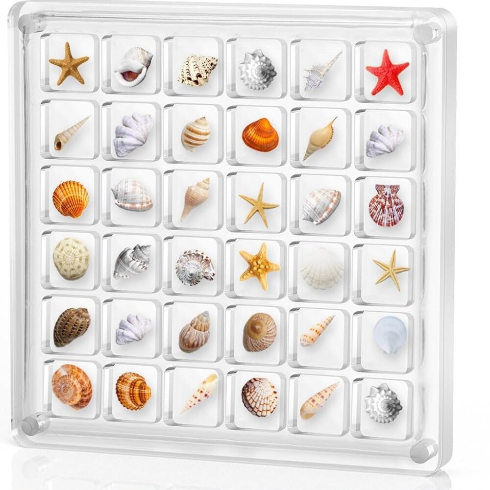 Seashell and Starfish acrylic magnetic sea shell display box